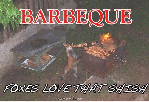 BBQ