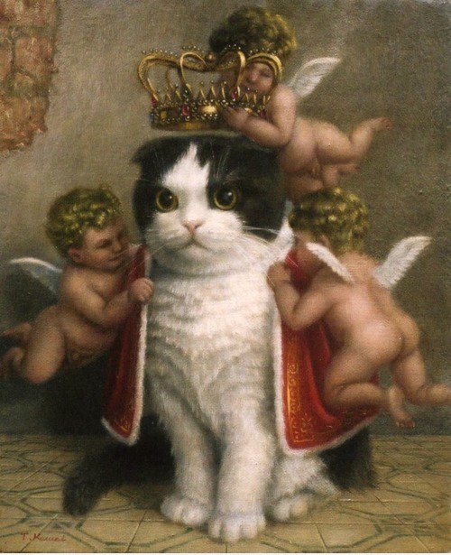 Wie meine Katze wahrscheinlich sieht sich