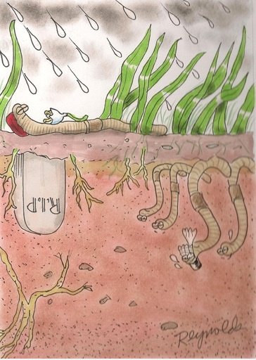 Worm Burial