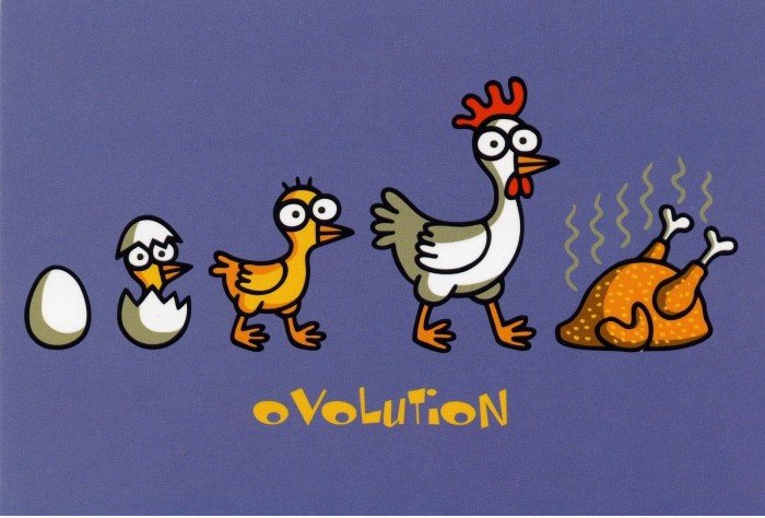 Ovolution