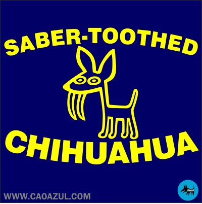 Sabre verzahnten chihuahua