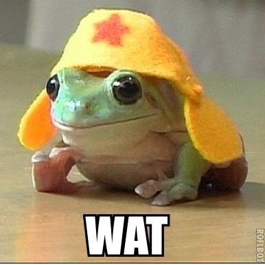 Wat