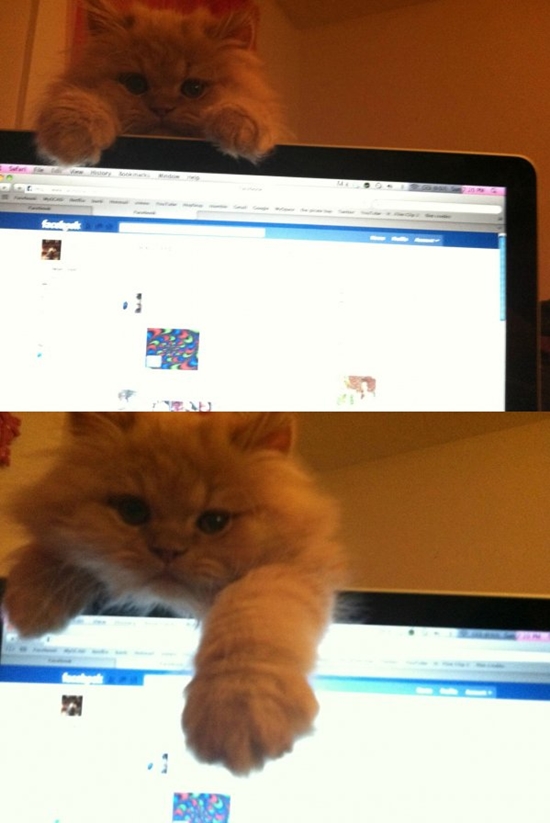O_o