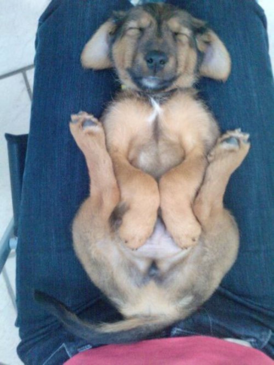 O_o
