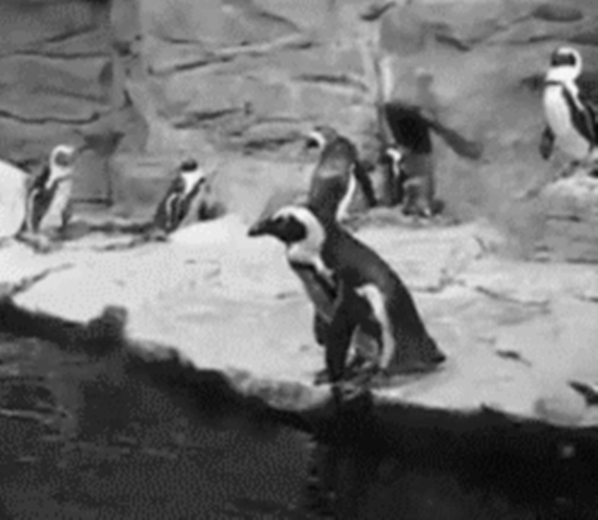O_o