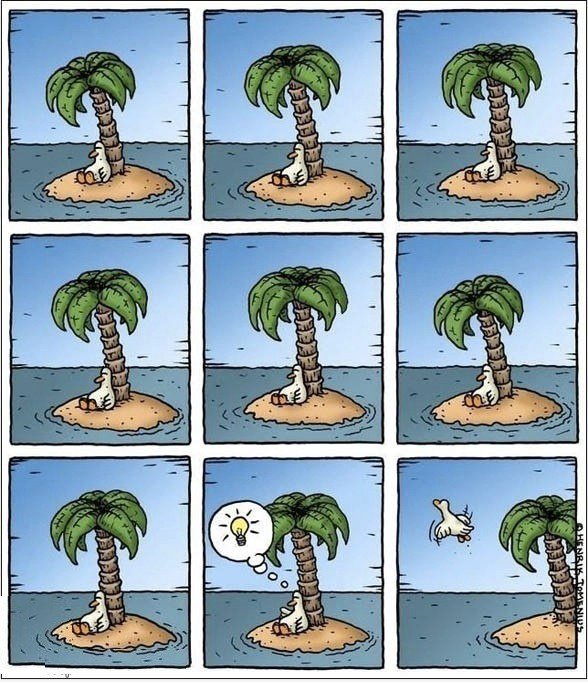 Funniest Thing I gesehen ganze Woche haben.