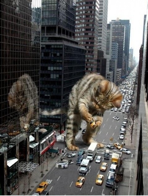 Catzilla!