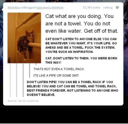 Proof Tumblr ist genial
