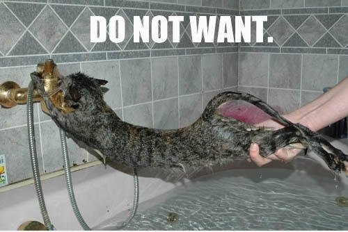 Keine Dusche!