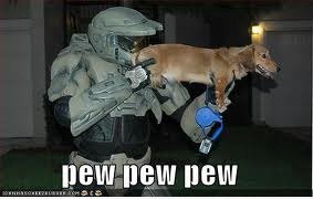 XDD keine Munition, benutzen Sie einfach den dummen dogg!