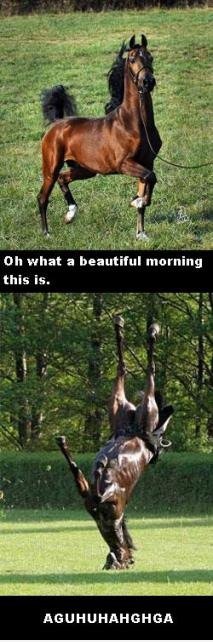Was für ein schöner Morgen