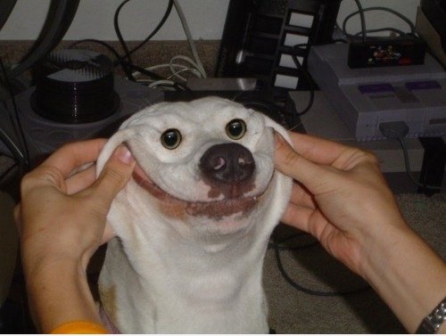 HERP
