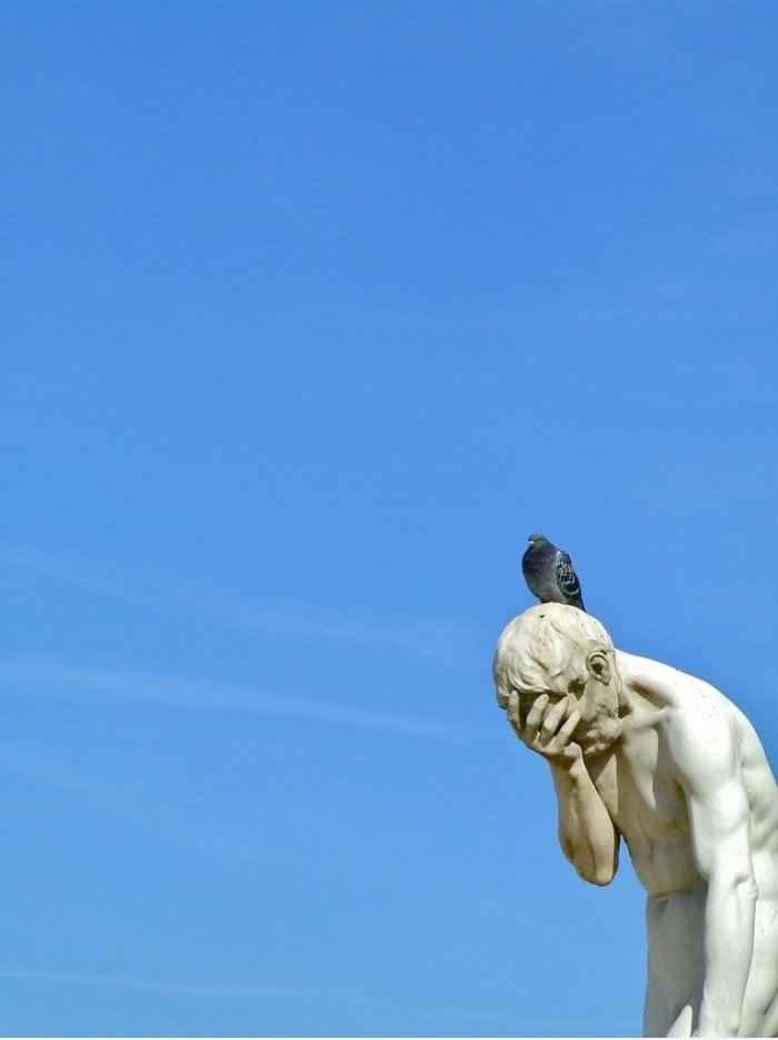 ".. Ein paar Tagen die Taube sind, einige Tage sind Sie die Statue"