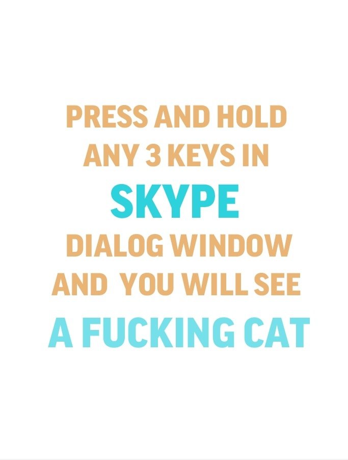 Cat in Skype