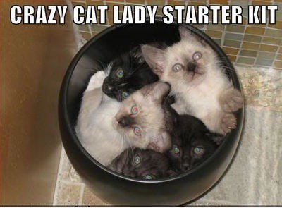 Bucket-O-Katzen