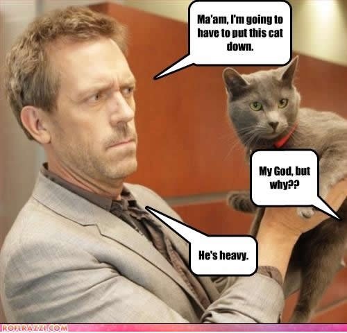 Dr.House