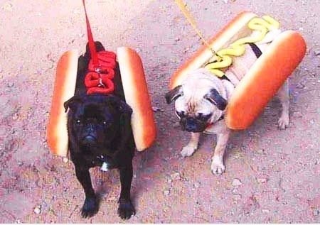 真 系 热狗 echte hotdog