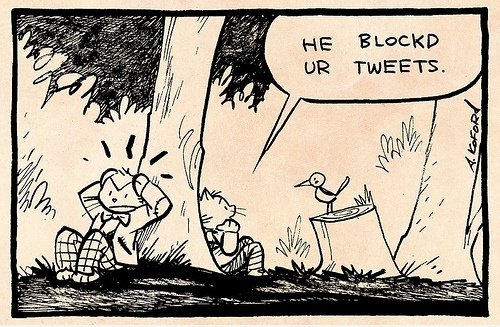 Lolcatz und twitter