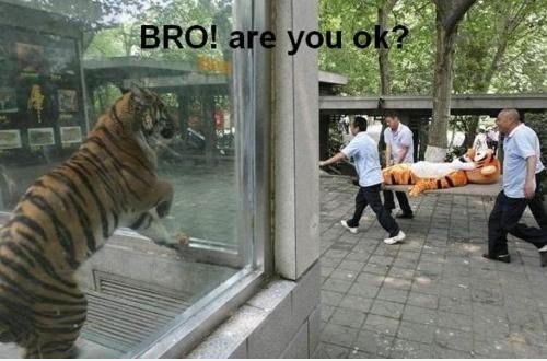 Sind Sie okay?!