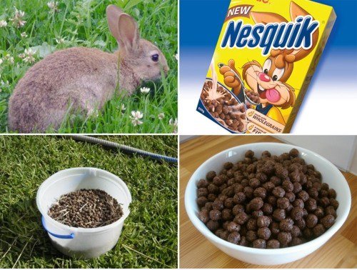 Nesquik ist der S ** t