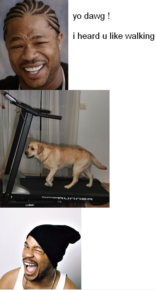 Yo Dawg!