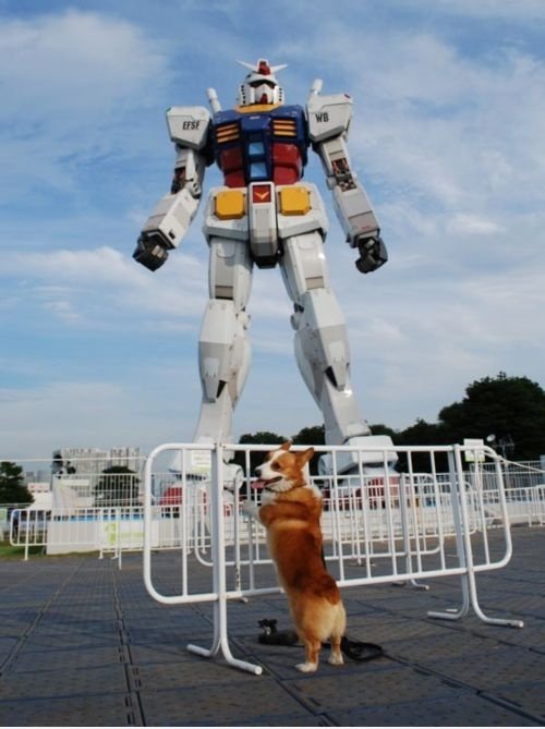 Arf!