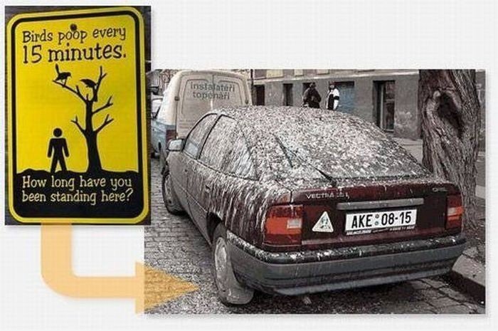 Hüten Sie sich vor Schild