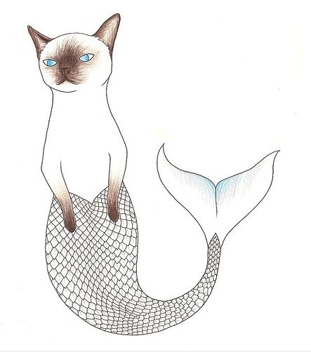 Catmermaid