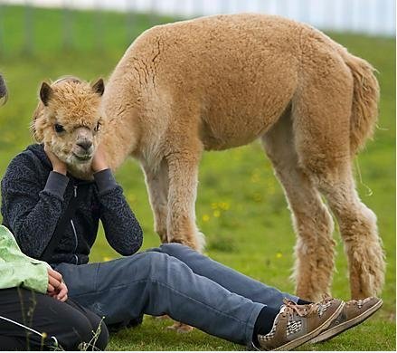 Photobomb?