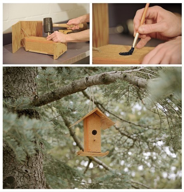 Vogelnest