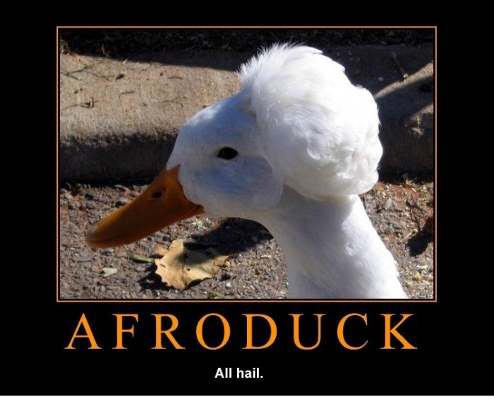 Stilvolle Ente