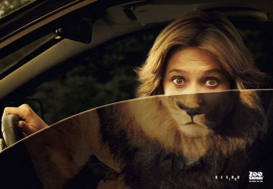 look a lion inside