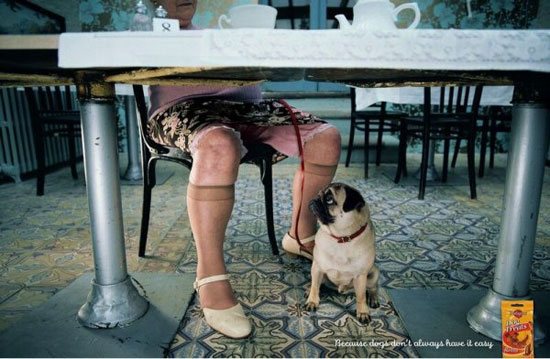 OMG Werbung Hundefutter