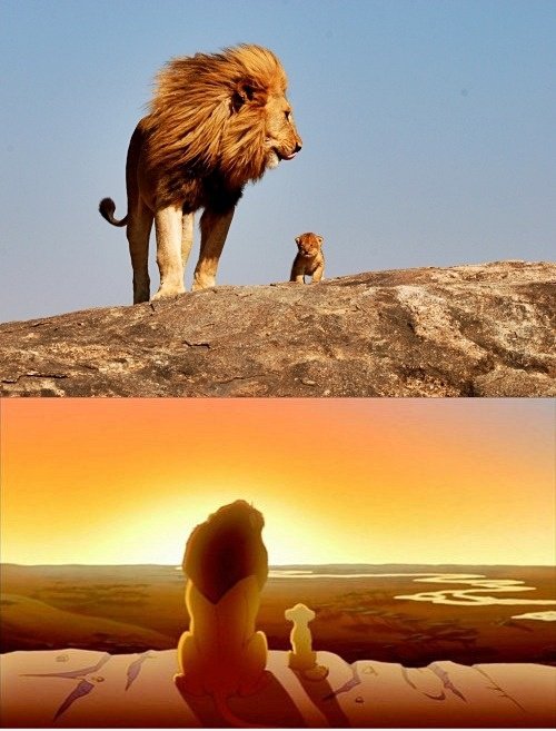 Eines Tages wird das alles dein sein :)