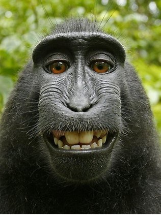 Say cheese.
