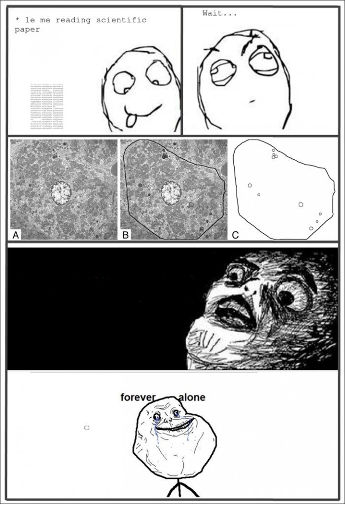 Immer allein