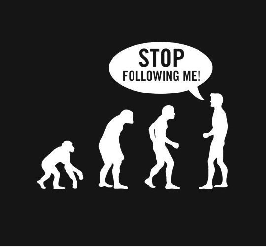 Evolution der Arten