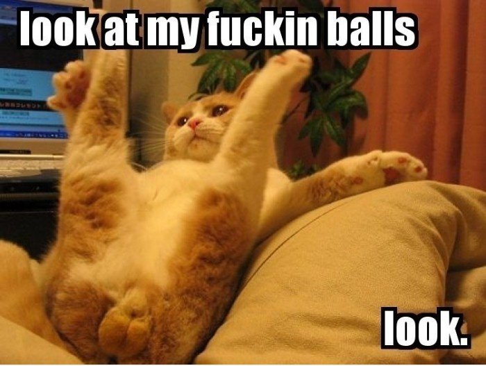 Dont Look!