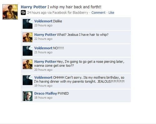 Harry Potter Besitz