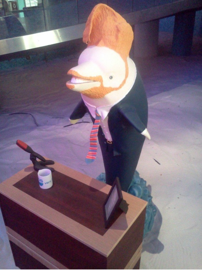 Conan O'Dolphin