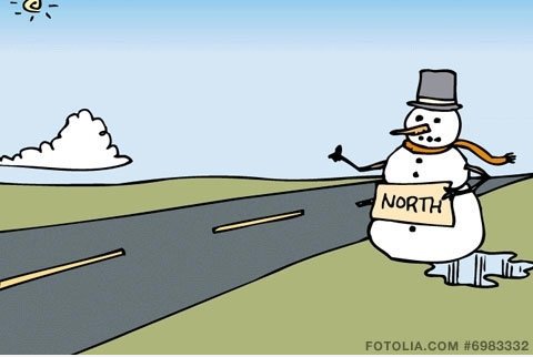 Gehe nach Norden.