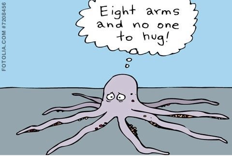 Die Ironie ist ein einsamer Oktopus
