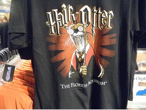 Hairy Otter