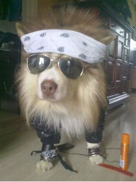 Axl Rose. Nein, warten Sie eine Minute ...