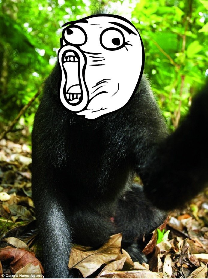 Meme self-portrait