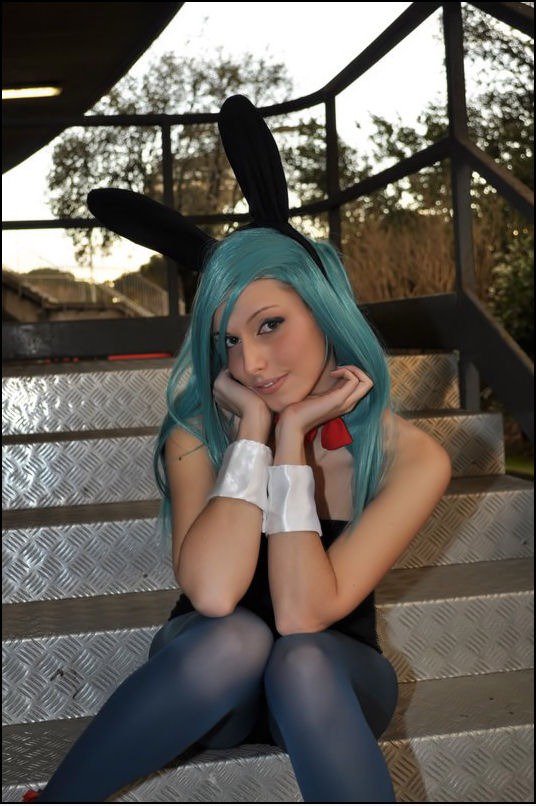 Bulma - Bunny Version