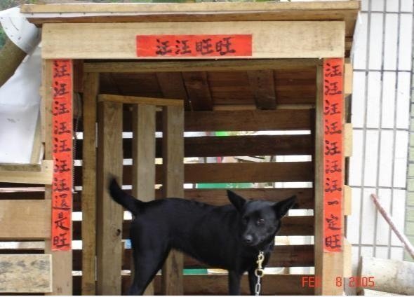 好 对联!