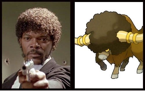 Jackson / Buffalon