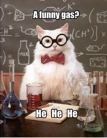 Oh Wissenschaft Katze, du bist so lustig