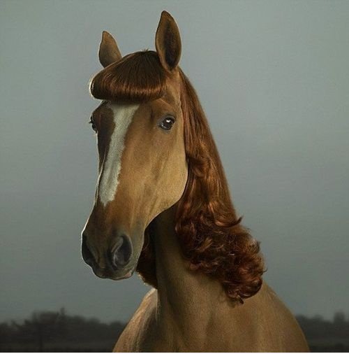Gerade zurÃ¼ck von der Friseur